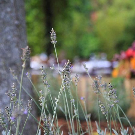 Podere La Miniera Relax & Food Сиена Экстерьер фото